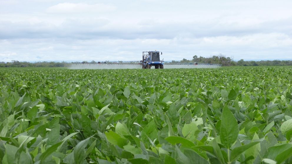 Paralizacin del Mercado de Insumos Agrcolas: Incertidumbre y desfinanciamiento del productor agropecuario