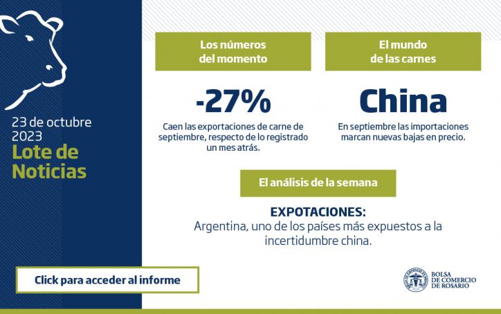 Exportaciones de Carne Argentina a China: Precios en Descenso Generan Preocupación