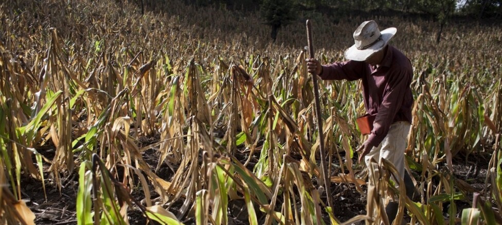 El Niño y su Impacto en las Economías Latinoamericanas: Perspectivas y Desafíos