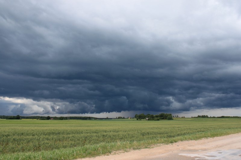 Efecto El Niño: Pronóstico de Precipitaciones y Temperaturas para los Próximos Meses