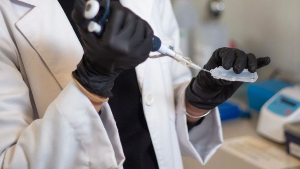 La ANMAT autoriza ensayo clnico de un frmaco contra el dolor crnico