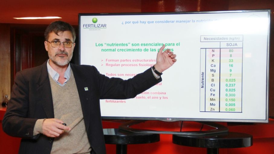 Con nutrición balanceada, la soja rinde un 20% más
