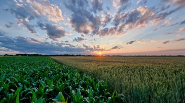 Perspectivas agroclimáticas semanales del 2 al 8 de Noviembre: Cambios de temperatura y precipitaciones en el horizonte