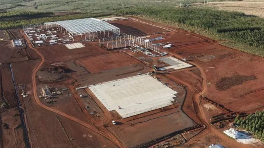 Desde Corrientes, Argentina se posiciona como un jugador mundial en foresto industria