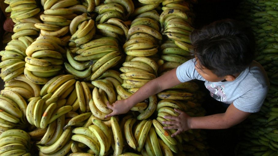 Crisis en el abastecimiento de bananas paraguayas a Argentina por deuda de USD 9 millones