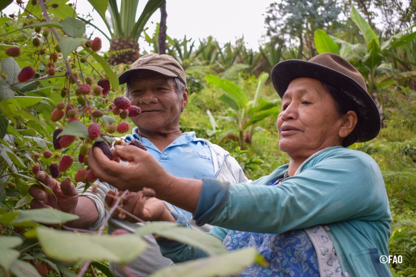 Informe de la ONU: 43,2 Millones de personas sufren hambre en América Latina y el Caribe