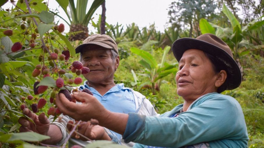 Informe de la ONU: 43,2 Millones de personas sufren hambre en América Latina y el Caribe