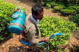 Impulso de Biopesticidas en la Agricultura India: Perspectivas y Desafíos