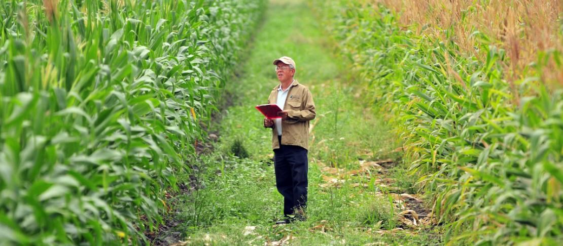 Plantean necesidad de políticas públicas que impulsen fortalecimiento de sistemas agroalimentarios