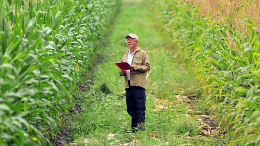 Plantean necesidad de políticas públicas que impulsen fortalecimiento de sistemas agroalimentarios