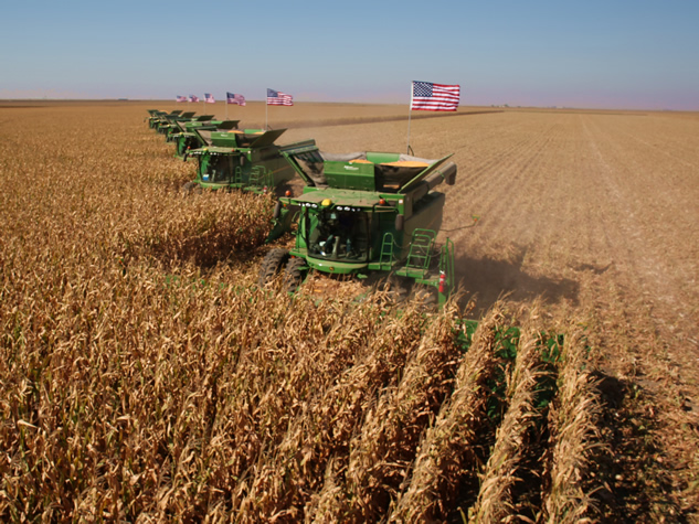Clima impulsa el mercado de cereales: Un análisis de Jerry Gulke de EEUU