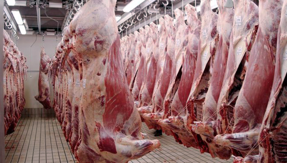 La faena bovina repunta en abril, pero persisten dudas sobre la sostenibilidad del ciclo ganadero