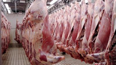La faena bovina repunta en abril, pero persisten dudas sobre la sostenibilidad del ciclo ganadero