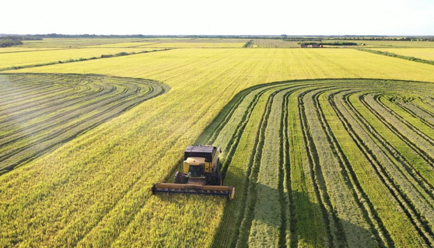 El motor laboral de Bolivia: El poderoso sector agropecuario