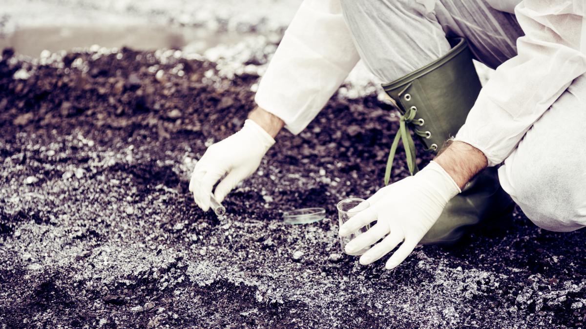 Bioformulación basada en hongos para recuperar terrenos contaminados
