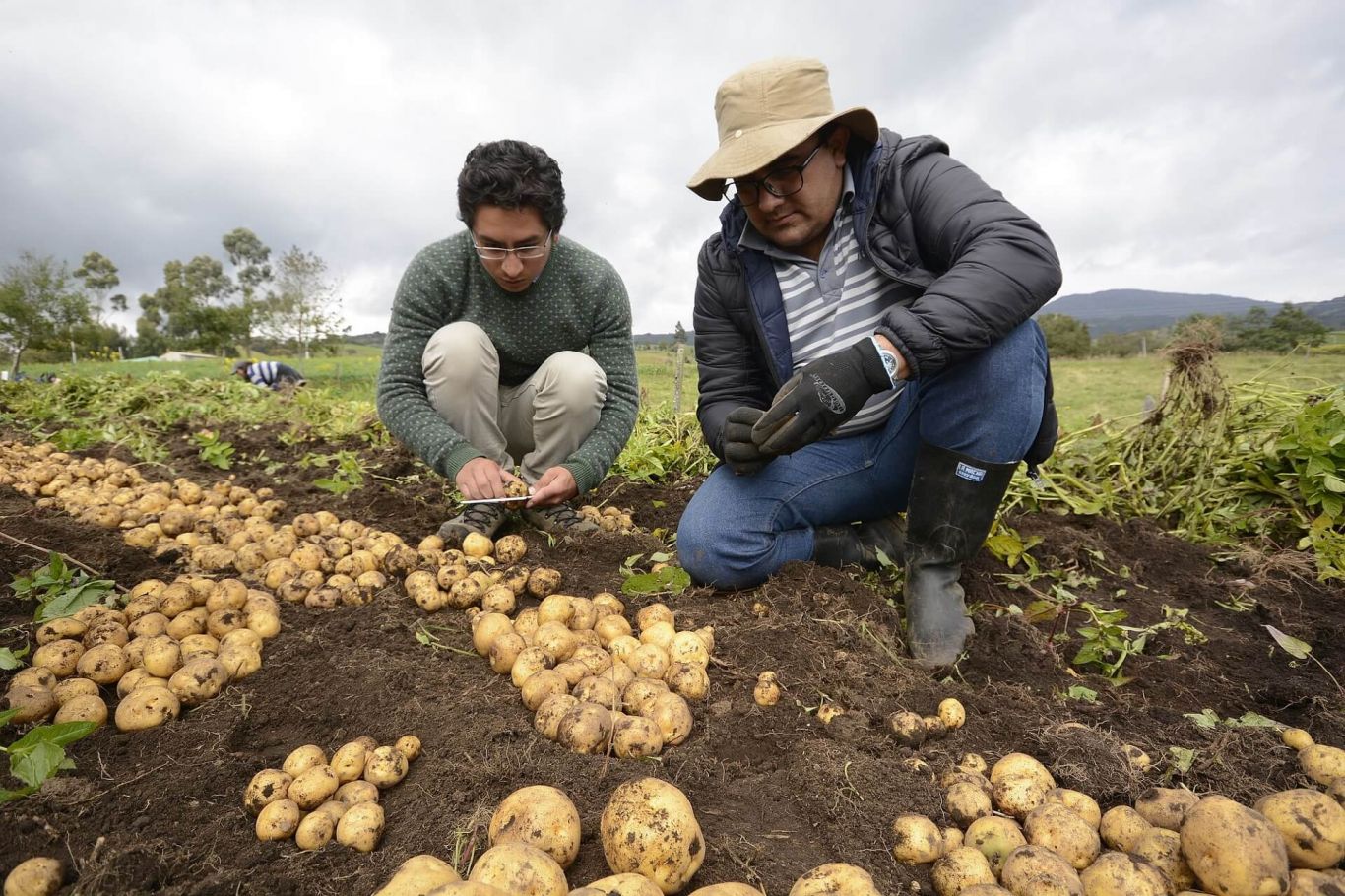 La inseguridad afecta al 21% de los productores agropecuarios en México