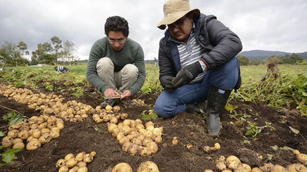 La inseguridad afecta al 21% de los productores agropecuarios en Mxico