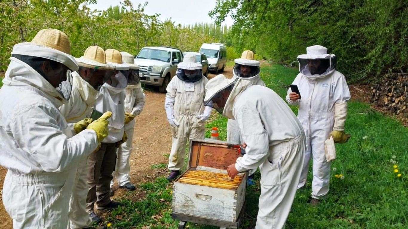 Santa Cruz: Capacitación a productores apícolas en sanidad y multiplicación de colmenas