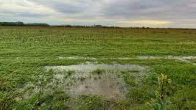 Alertas meteorológicas en Argentina: Zonda, viento fuerte y tormentas