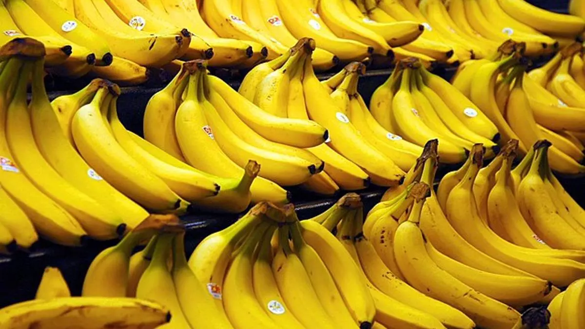 Tras alcanzar acuerdo de pago, la importación de bananas bolivianas se retomaría la semana próxima