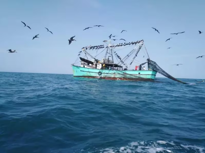Panamá y la controversia de la red de arrastre: Un desafío ambiental y social