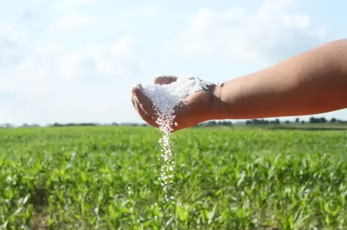 Ucrania aumentó la producción de fertilizantes nitrogenados en un 81% en 2023 