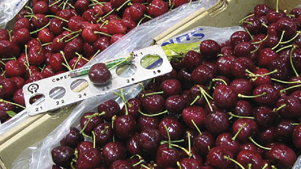 Problemas informticos en aduanas de chile preocupan al sector agrcola