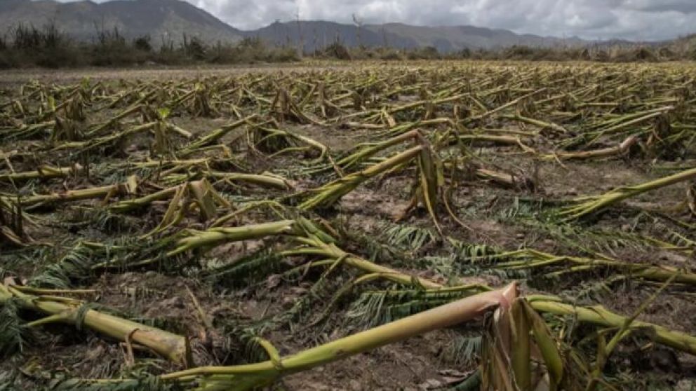 Impacto de las lluvias en la agricultura de Repblica Dominicana
