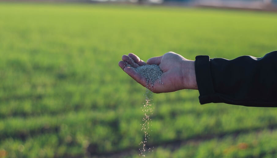 El campo sigue con los desafíos en la campaña: Ahora escasez de insumos claves