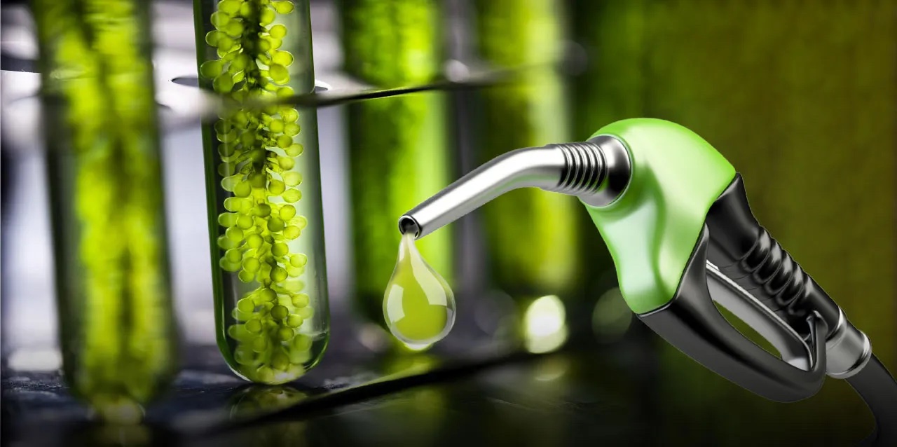 Productores de bioetanol se pronunciaron en contra de las modificaciones al proyecto de ley de biocombustibles