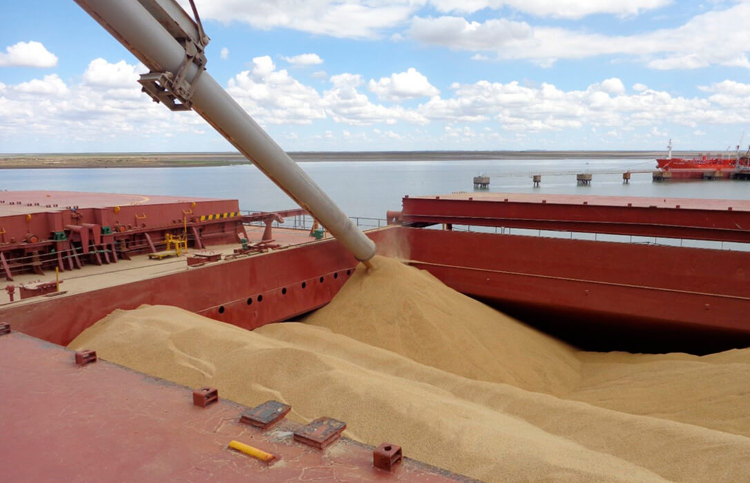 Mercados de granos: Trigo del mar negro y maíz Estadounidense afectan cotizaciones