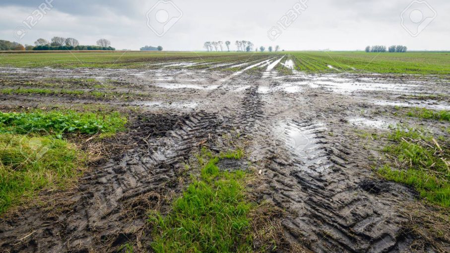 Agro: 2023 cierra con un 20% menos de lluvias que el promedio histórico