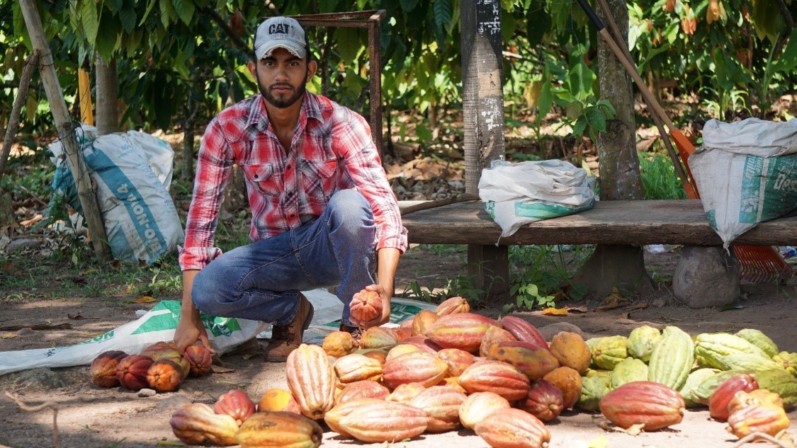 Honduras Impulsa inversiones en café, cacao y miel con apoyo internacional