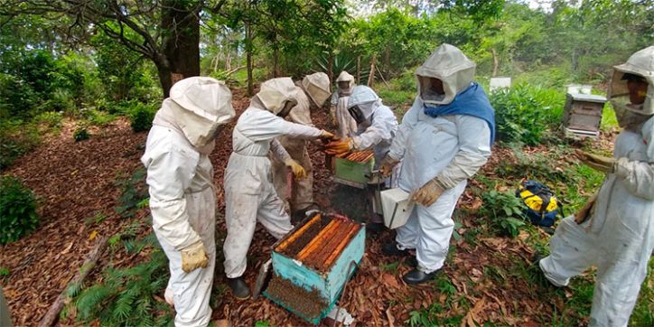 Honduras Impulsa inversiones en café, cacao y miel con apoyo internacional