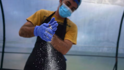 Empresa familiar Cubana Innovadora en la producción de harina de coco y yuca