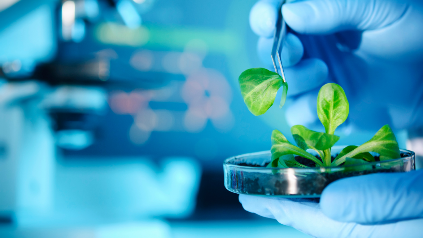 Argentina forma parte del ranking de 10 países con más empresas de biotecnología