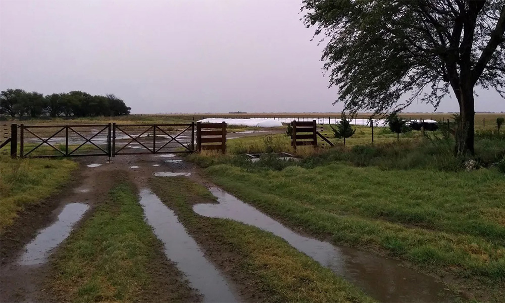 Intenso ciclón y frentes climáticos provocarán fuertes lluvias y vientos 