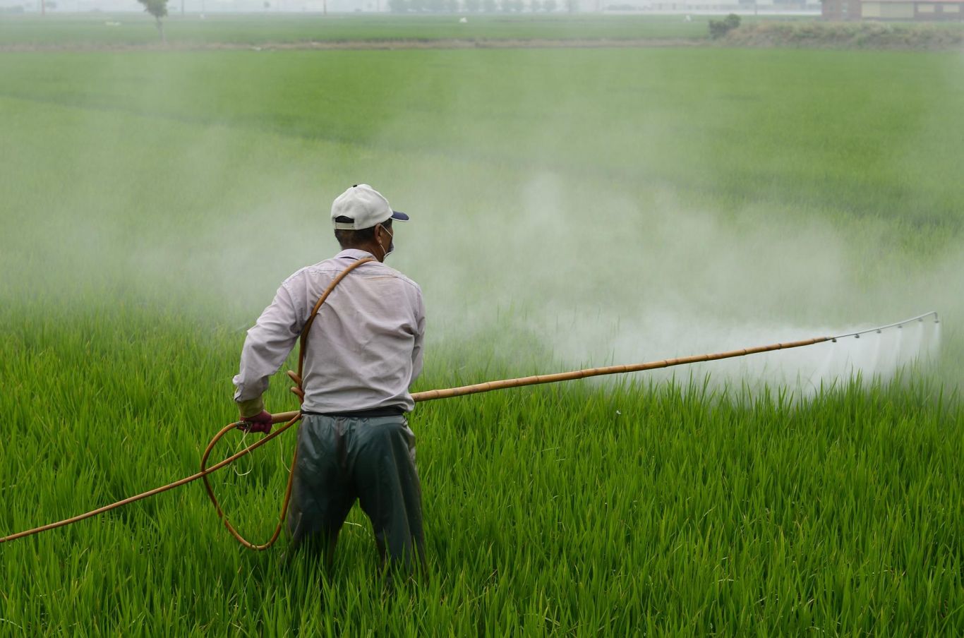  Costa Rica fortalece controles fitosanitarios en fronteras para proteger el sector agrícola