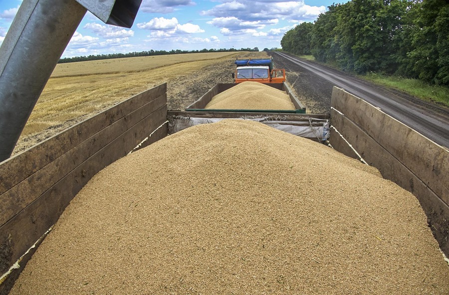 Resiliencia en la producción de cereales y oleaginosas a pesar de la guerra Ucrania y Rusia
