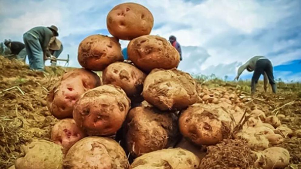 Productores Costarricenses exigen cambios en la gestin del Ministerio de Agricultura y Ganadera