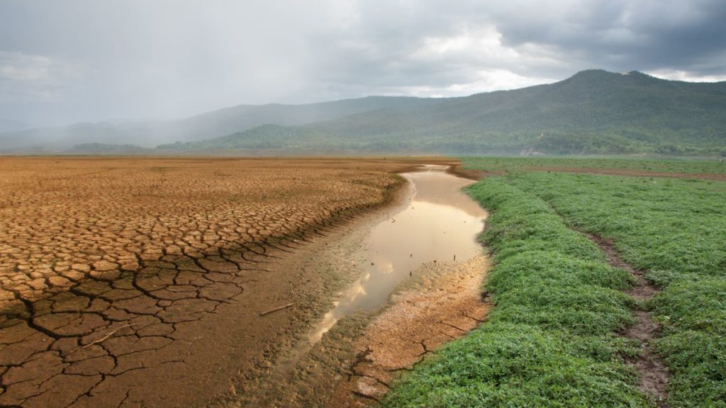 Cambio Climático en América Latina: Avanzando hacia un punto de No Retorno