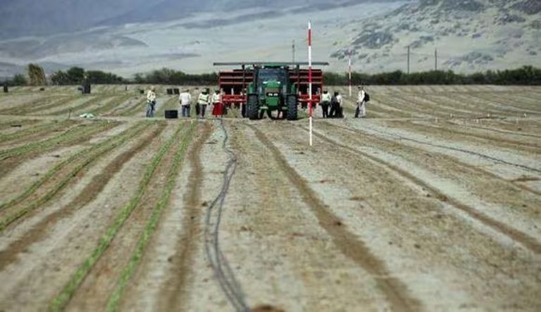 Resurgimiento agrícola en la región Andina de Perú: Proyectos Hidroagrícolas clave en marcha