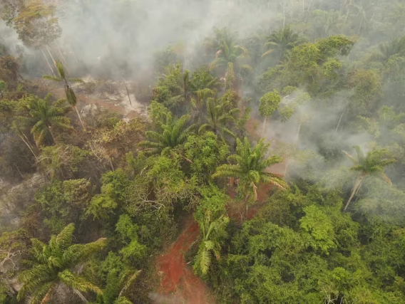 Incendios devastadores en Bolivia: Más de 3,3 Millones de hectáreas afectadas en 2023