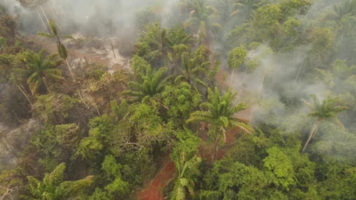Incendios devastadores en Bolivia: Más de 3,3 Millones de hectáreas afectadas en 2023