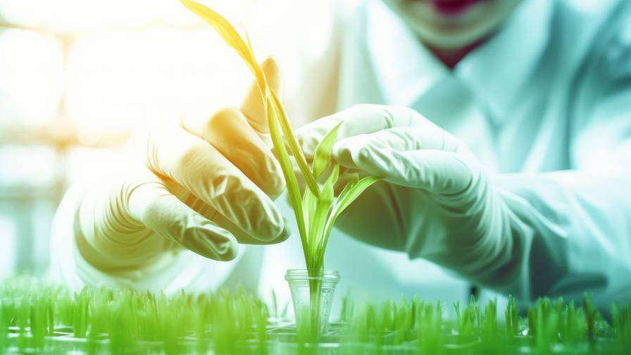 Adaptación y desafíos en la industria de protección de cultivos frente a la sostenibilidad y regulaciones