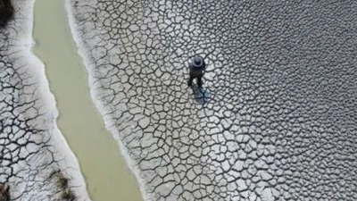América Latina y el Caribe frente al Cambio Climático: Inversiones enormes para el Futuro