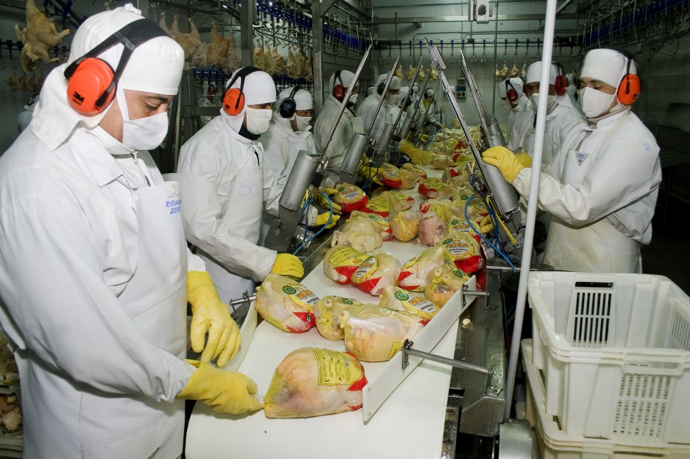 Las exportaciones avícolas crecieron un 20% en los primeros 10 meses del año