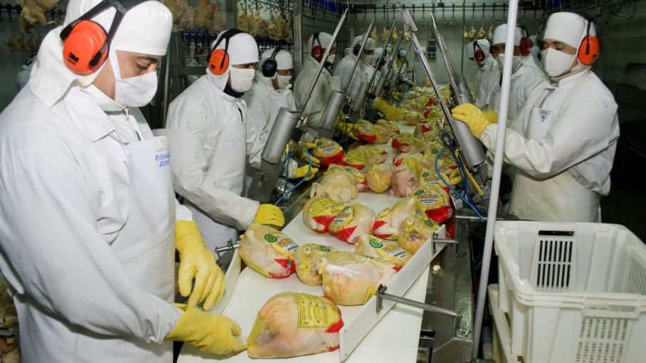 Argentina reanuda la exportación de productos aviares a Japón