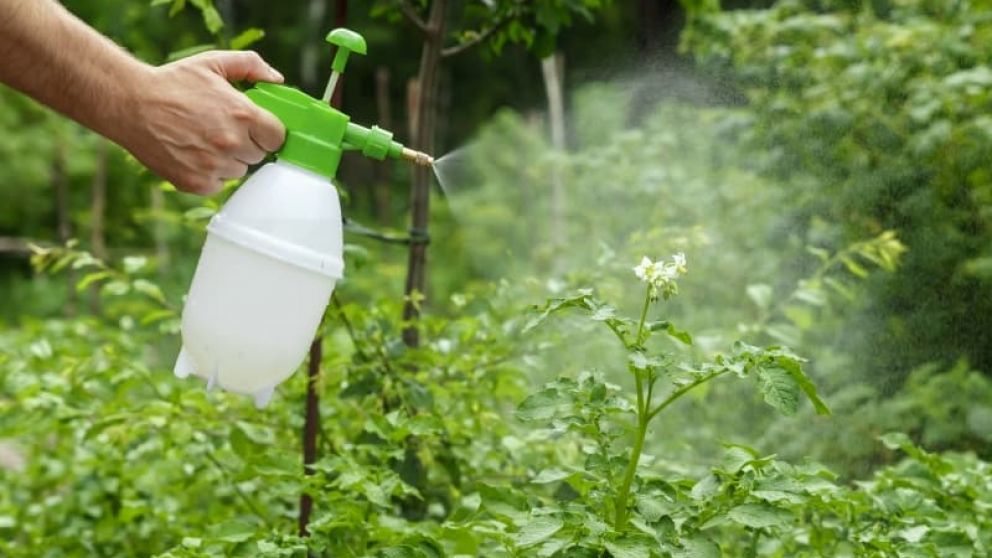 Mercado de Acaricidas en Crecimiento: Innovacin y Sostenibilidad marcan la tendencia