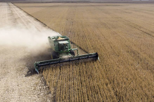 Expectativas positivas en el sector agropecuario Argentino ante cambio de gobierno y condiciones climáticas favorables